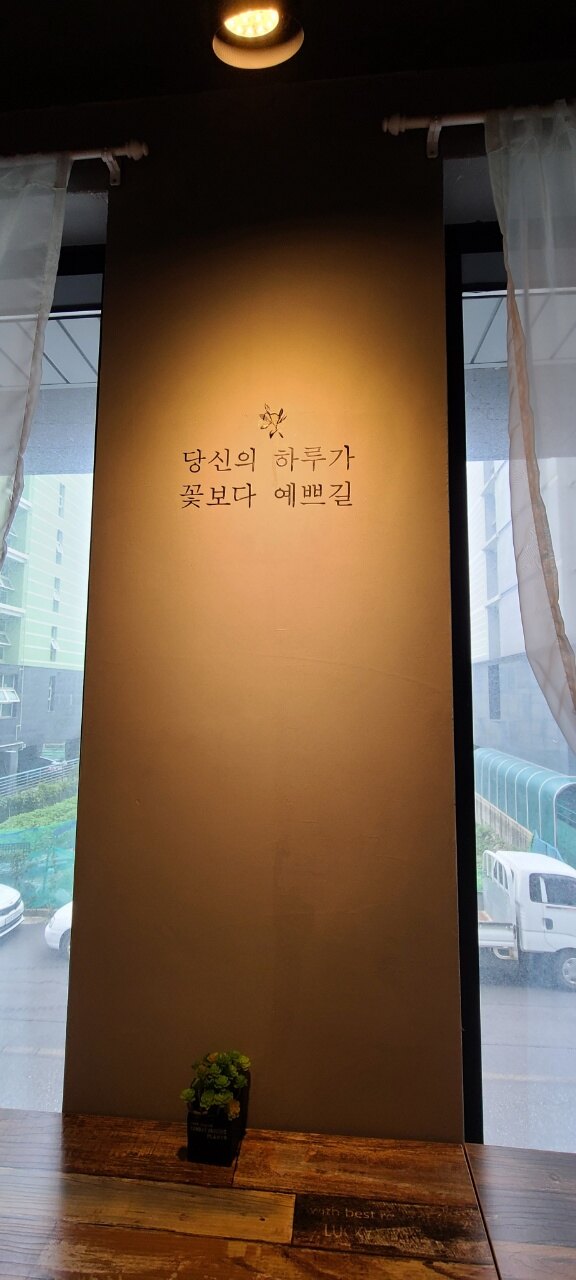 나무님의 서재
