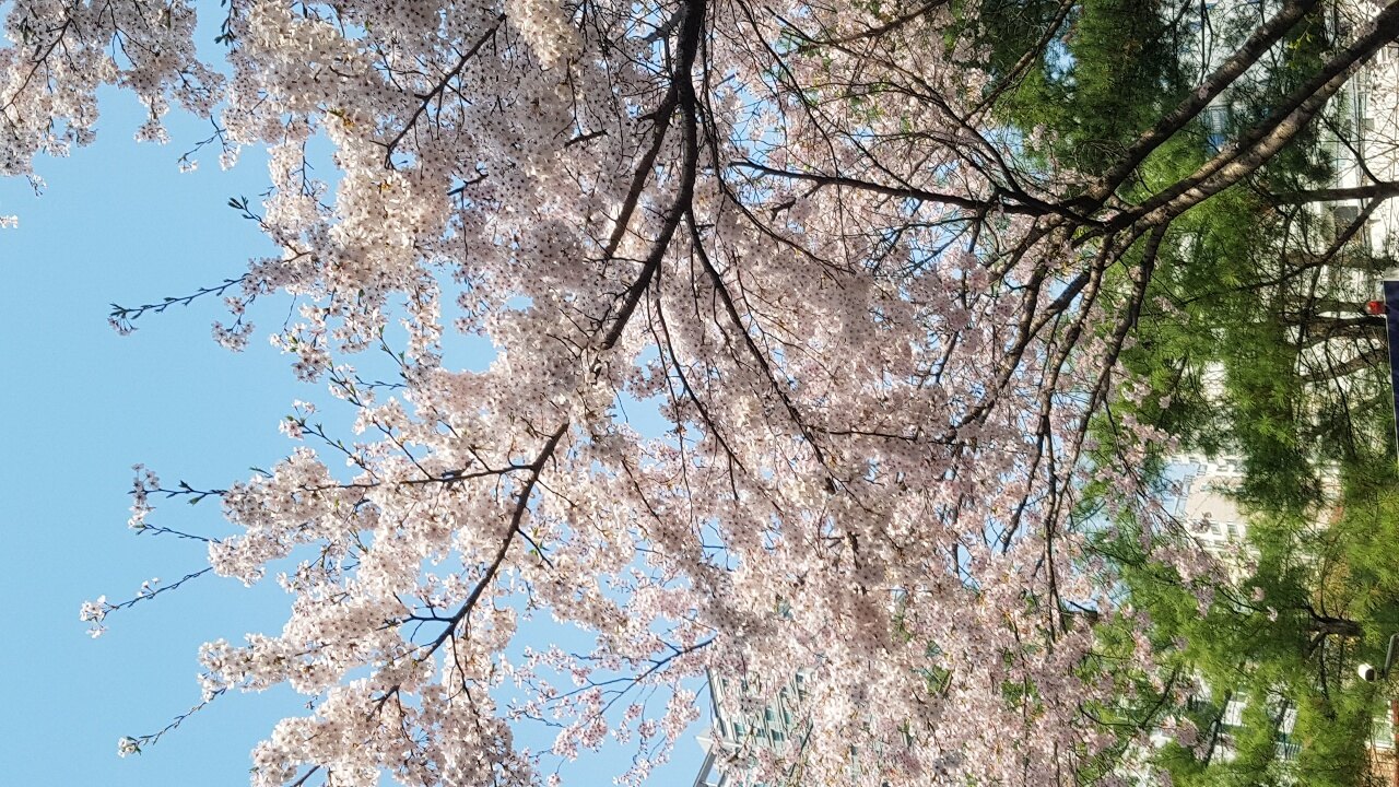 즐거운 책읽기
