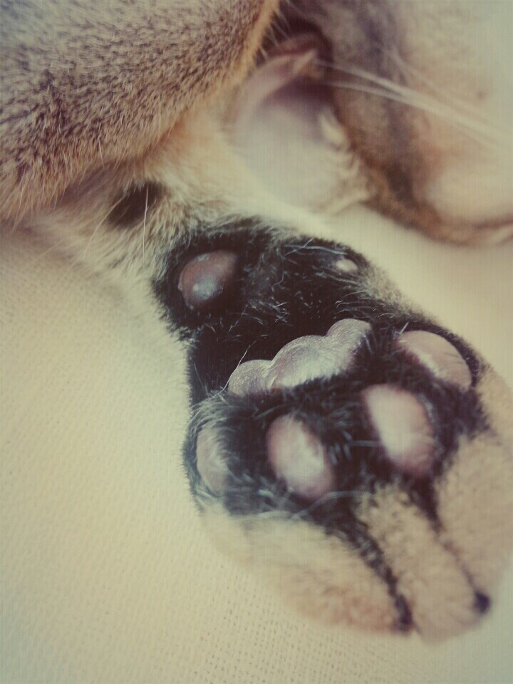 우리님의 서재