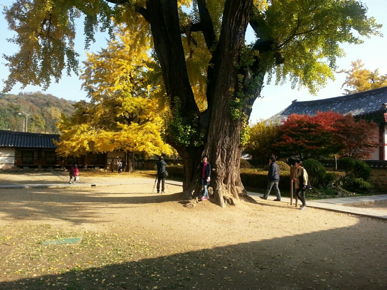 웃음이님의 서재