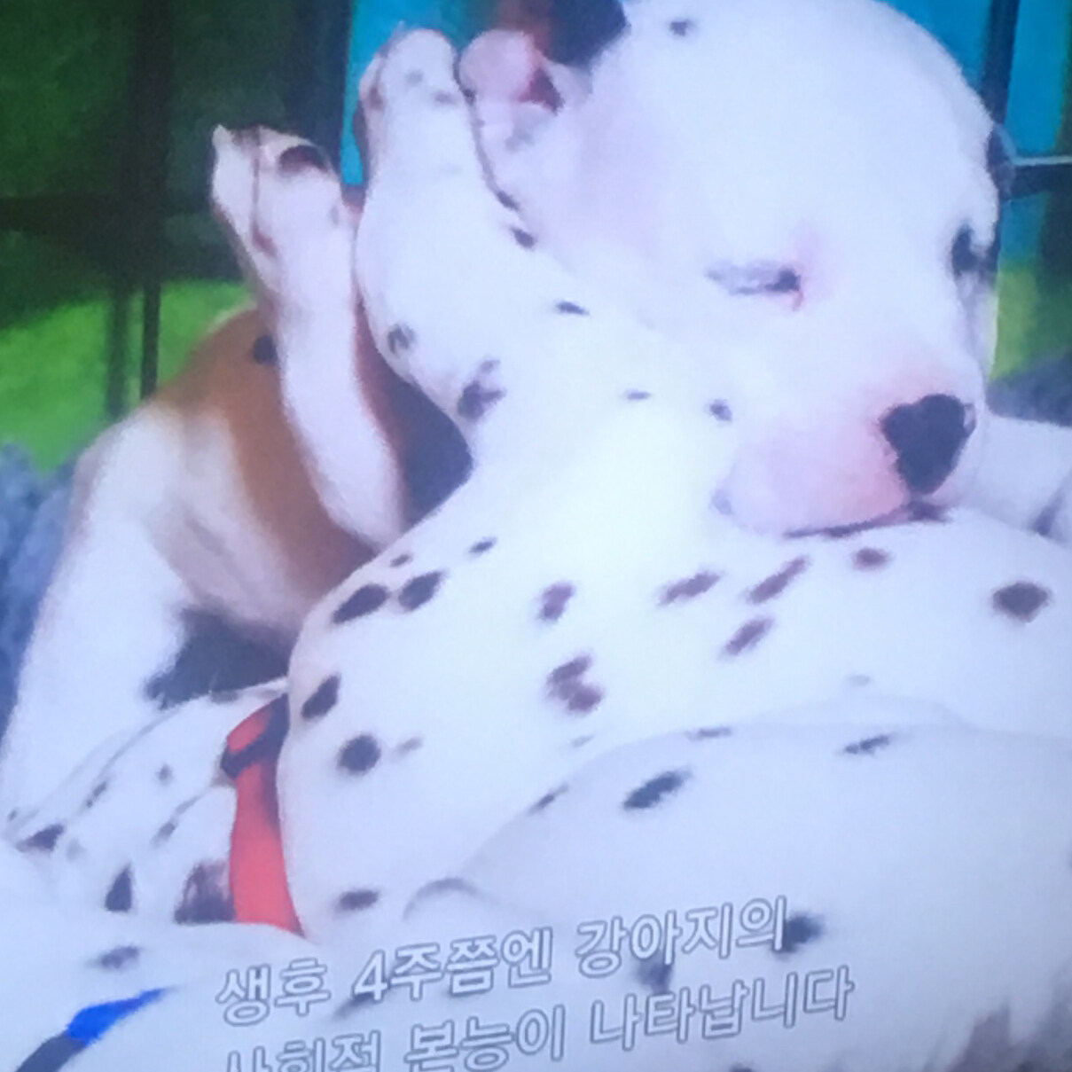 알랄딘님의 서재