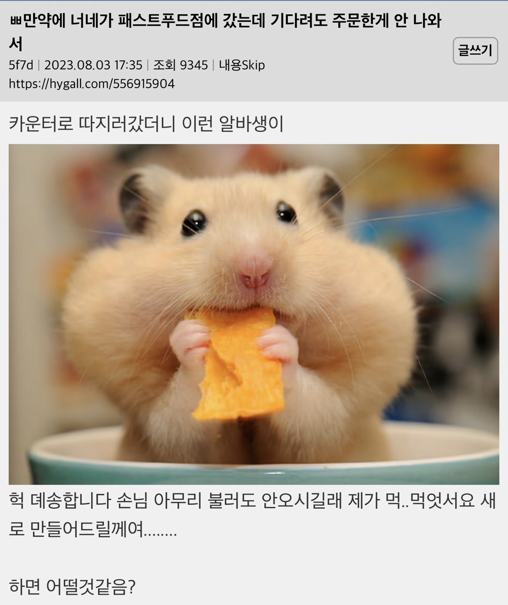 -님의 서재