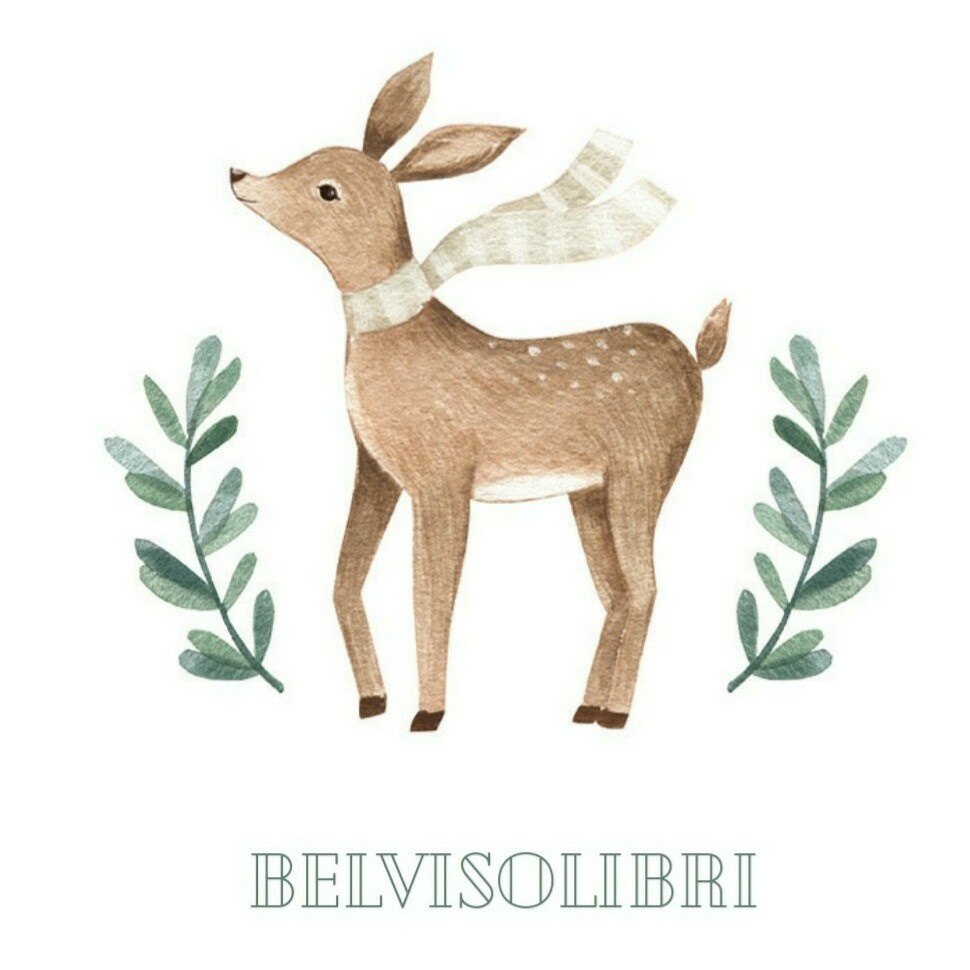BelVisoLibri