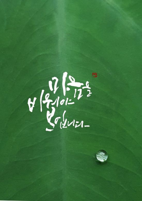 알루스토리북스