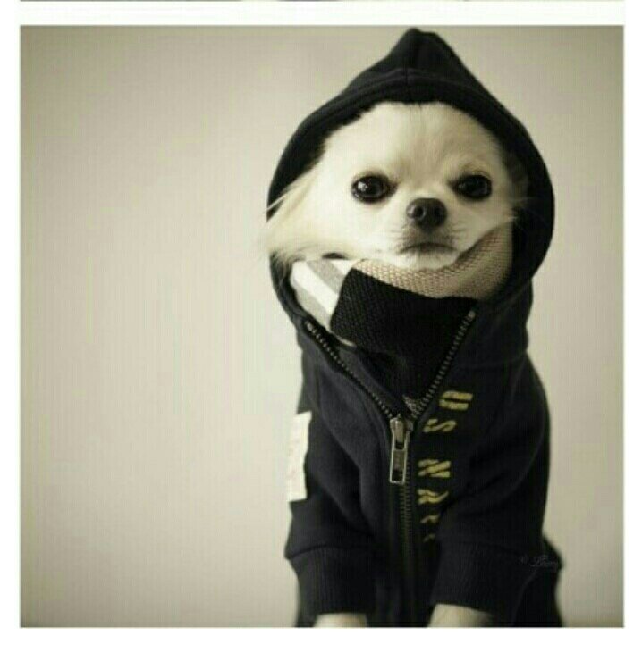 까시나라님의 서재