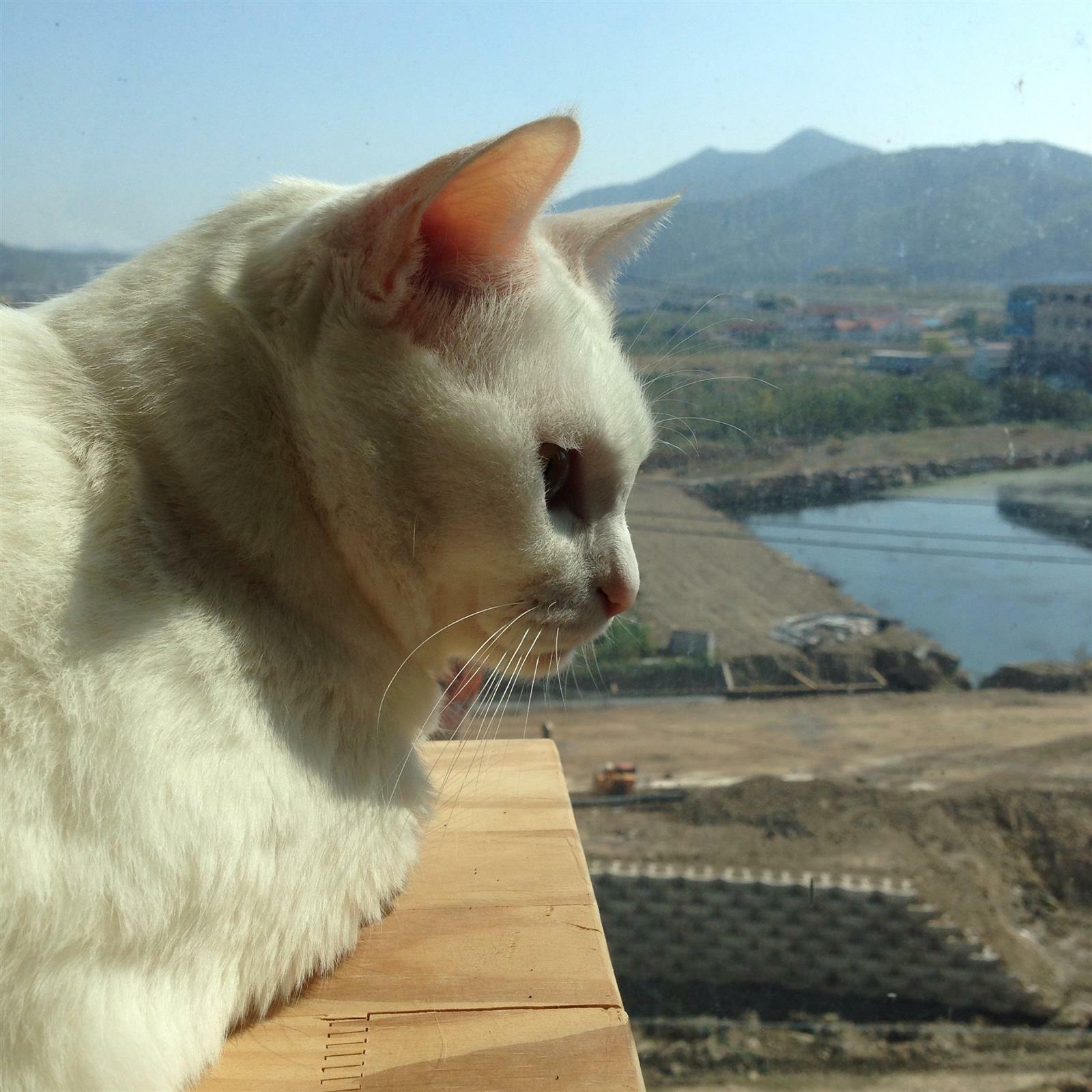 첫비행님의 서재