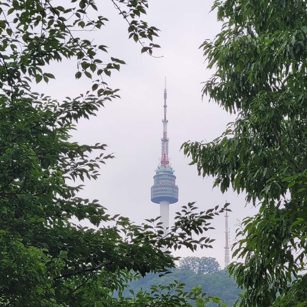 마늘님의 서재