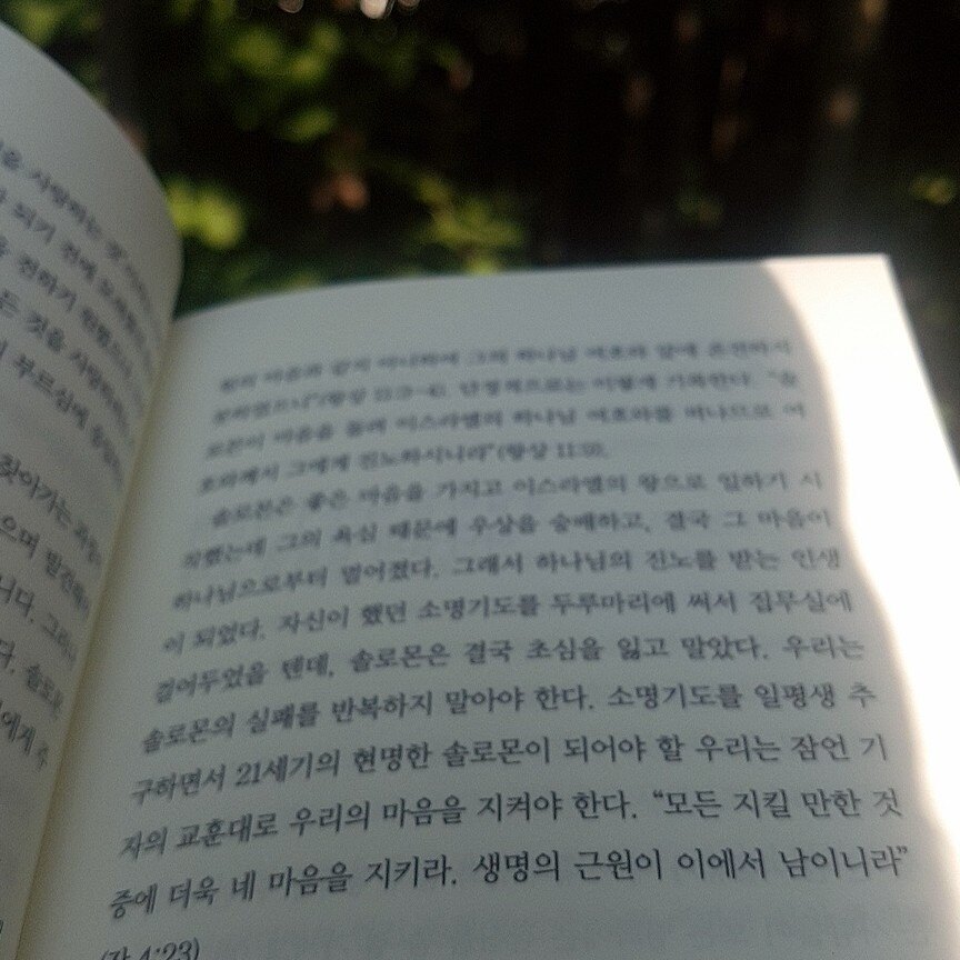 토끼님의 서재