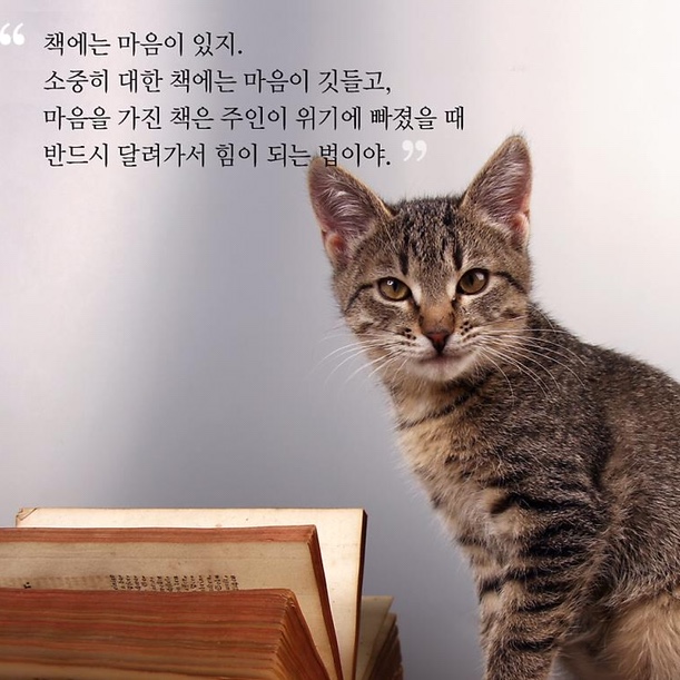 다람쥐의 서재