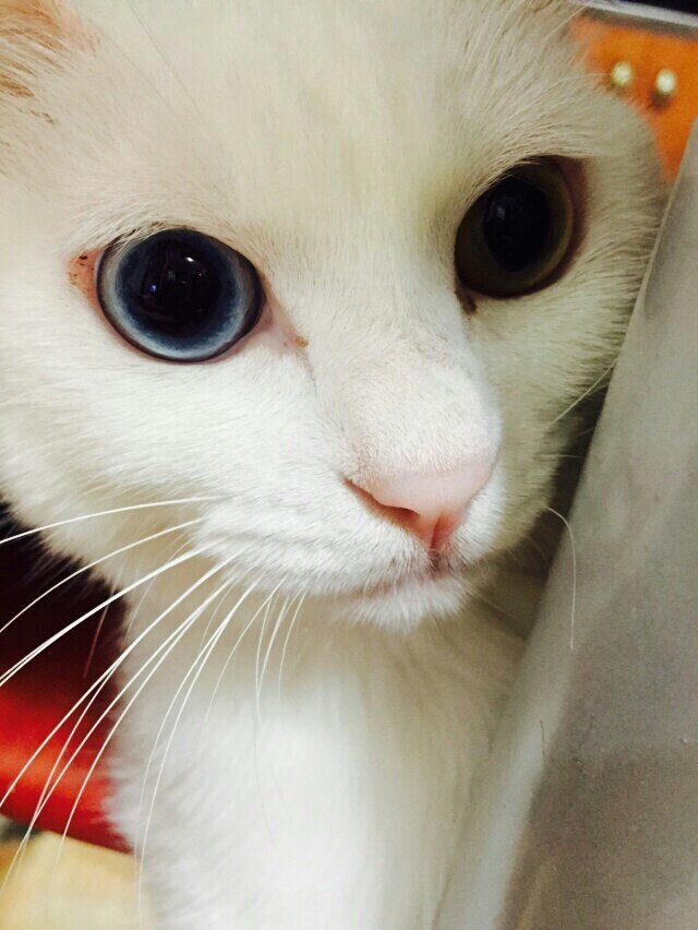 Erin님의 서재