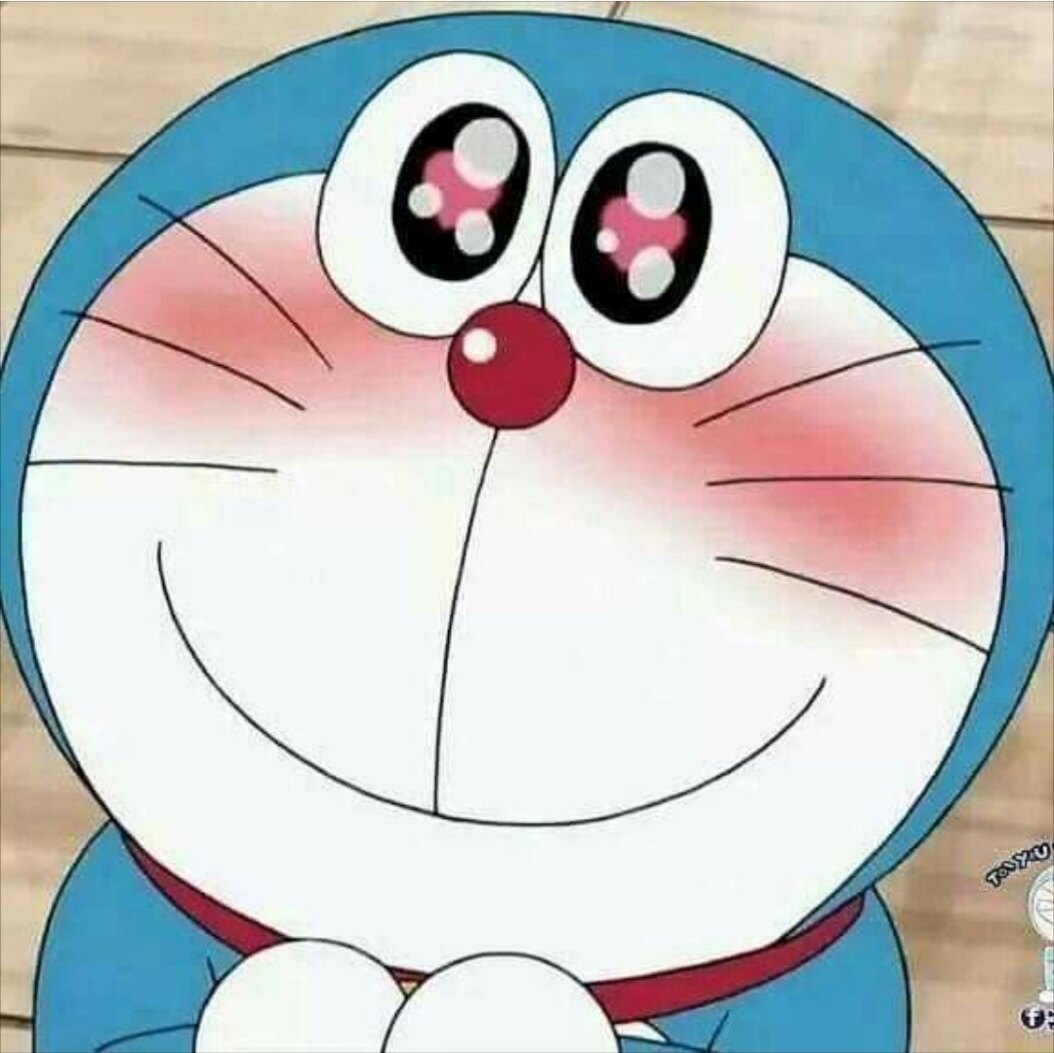 비비타님의 서재