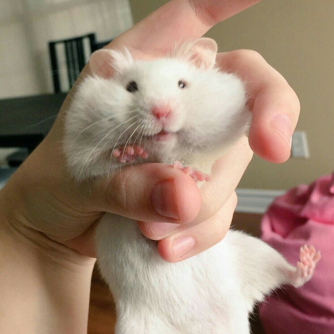 임주희님의 서재