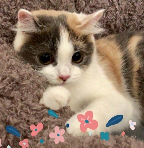 -님의 서재