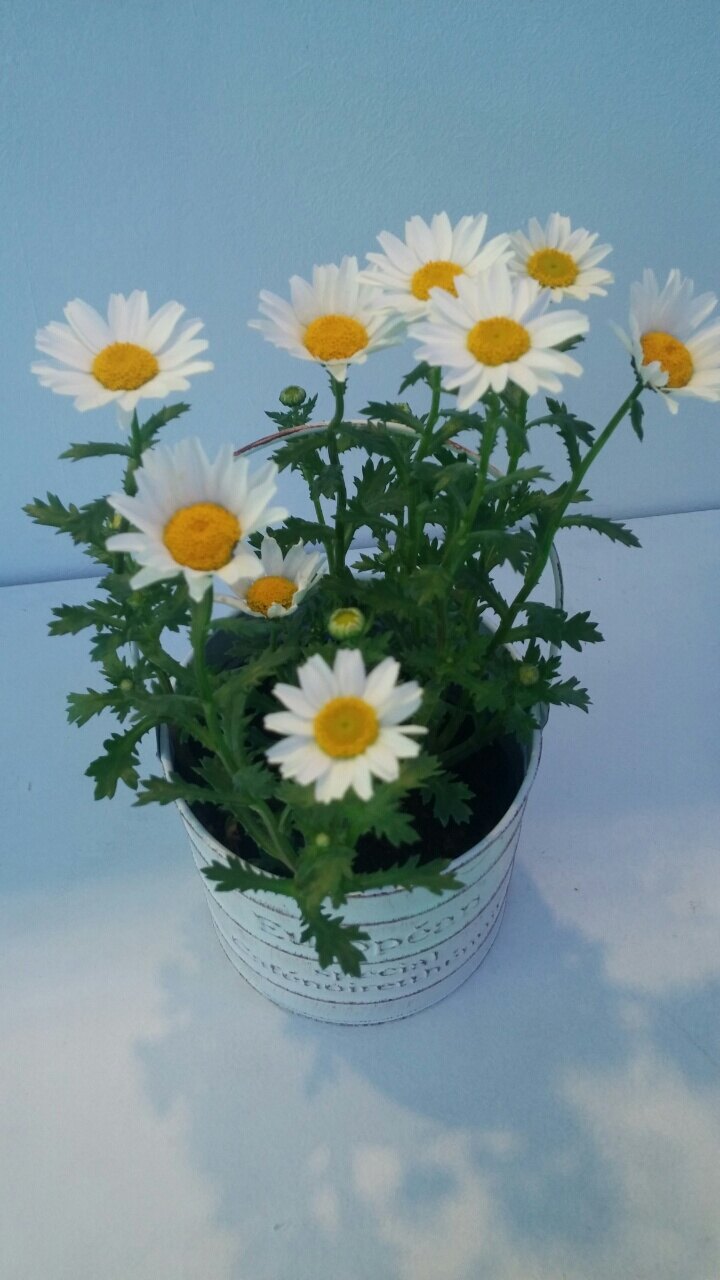 khs0774님의 서재