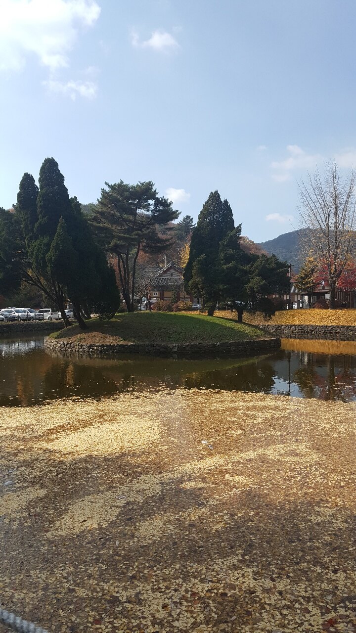 as930님의 서재