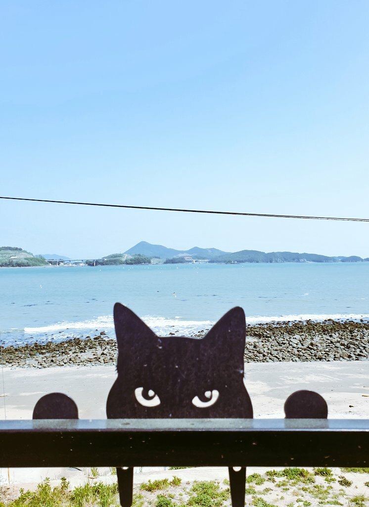 쿠리 서재