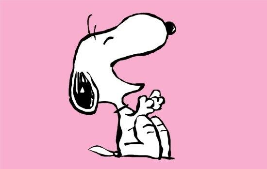 모래의 책