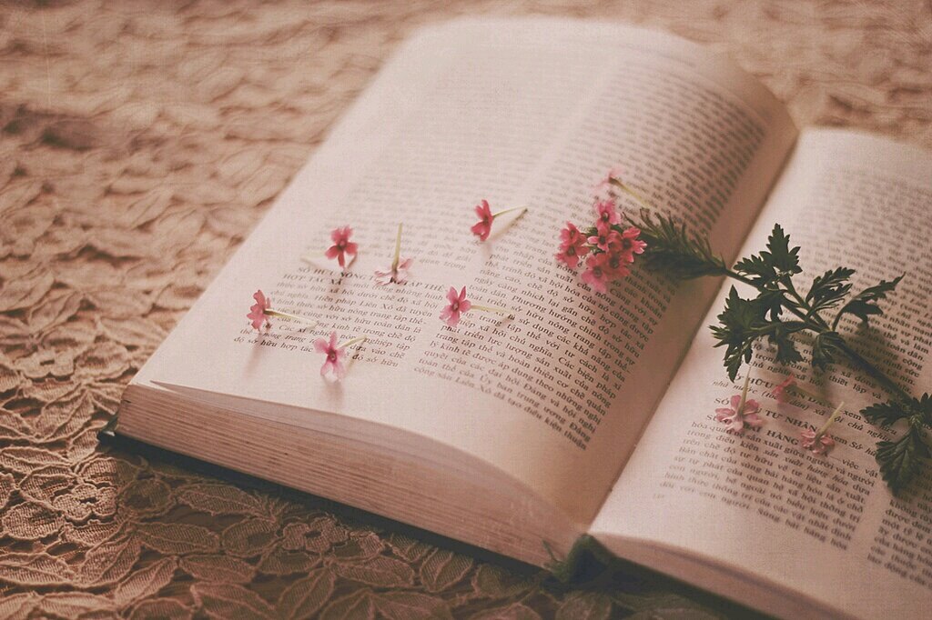 기린해바라기♥