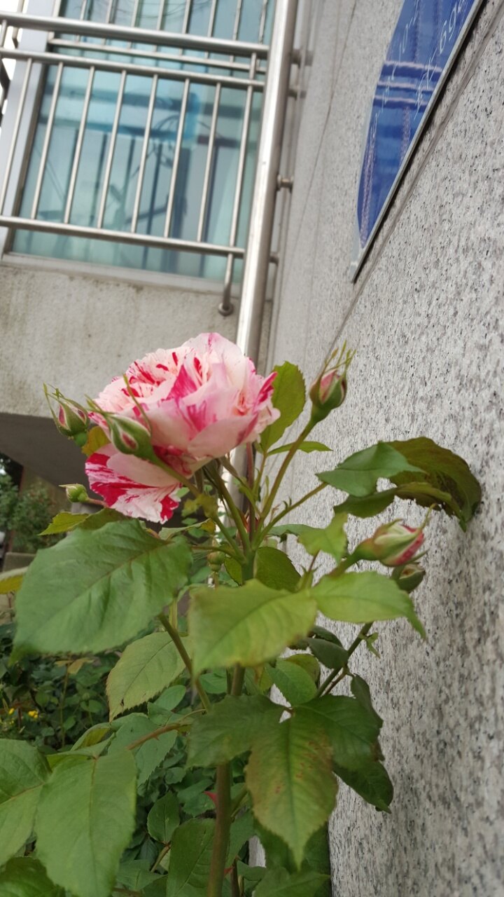 moimansman님의 서재