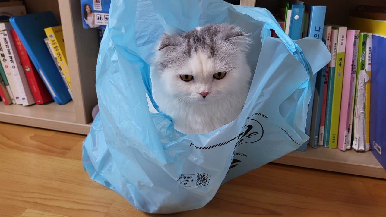 직크님의 서재