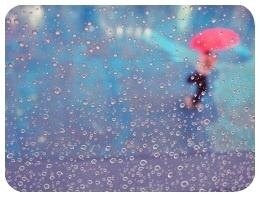 겨울의 幻님의 서재