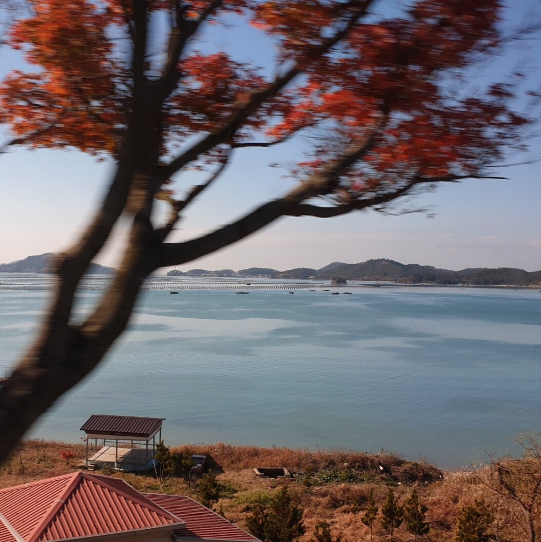 초록지붕님의 서재