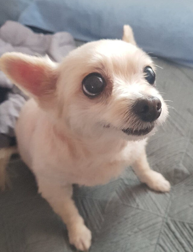인경님의 서재