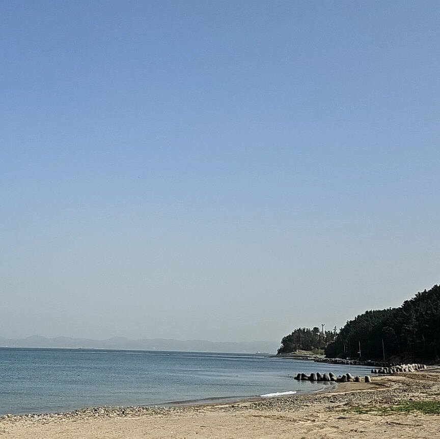 자하