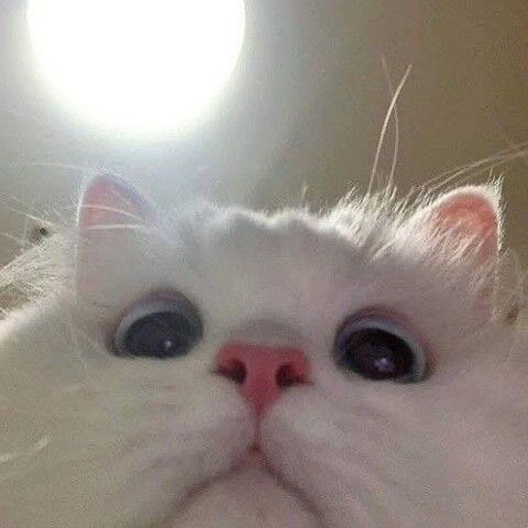 최선정님의 서재