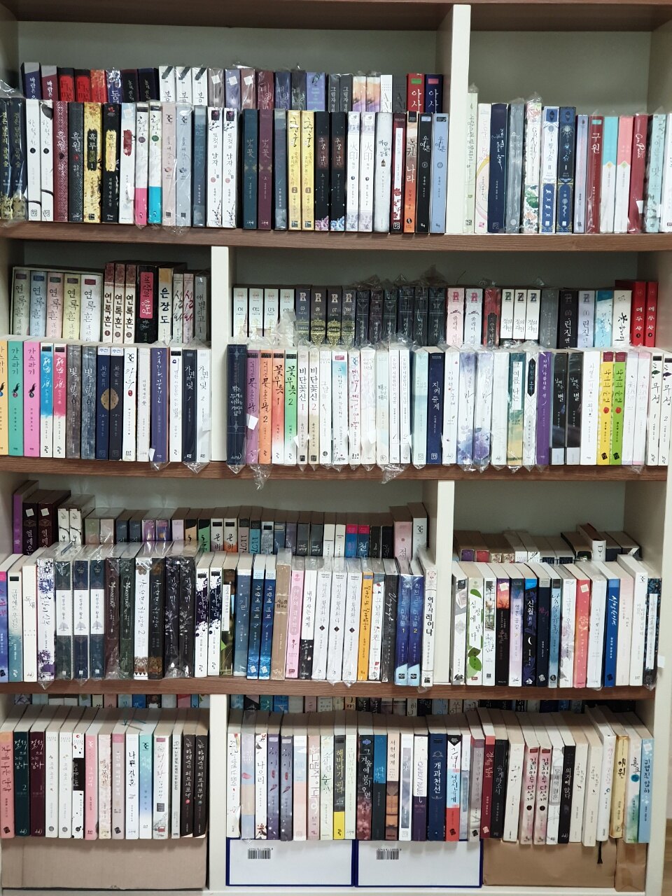 jin9497님의 서재