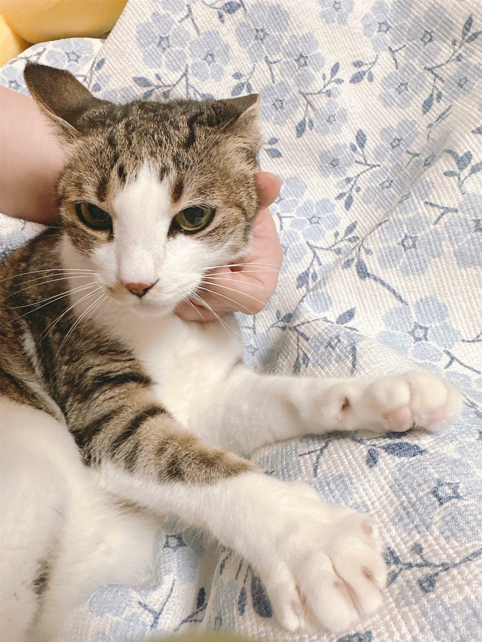 유성윤님의 서재