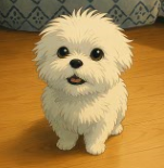 서툰 요리사님의 서재