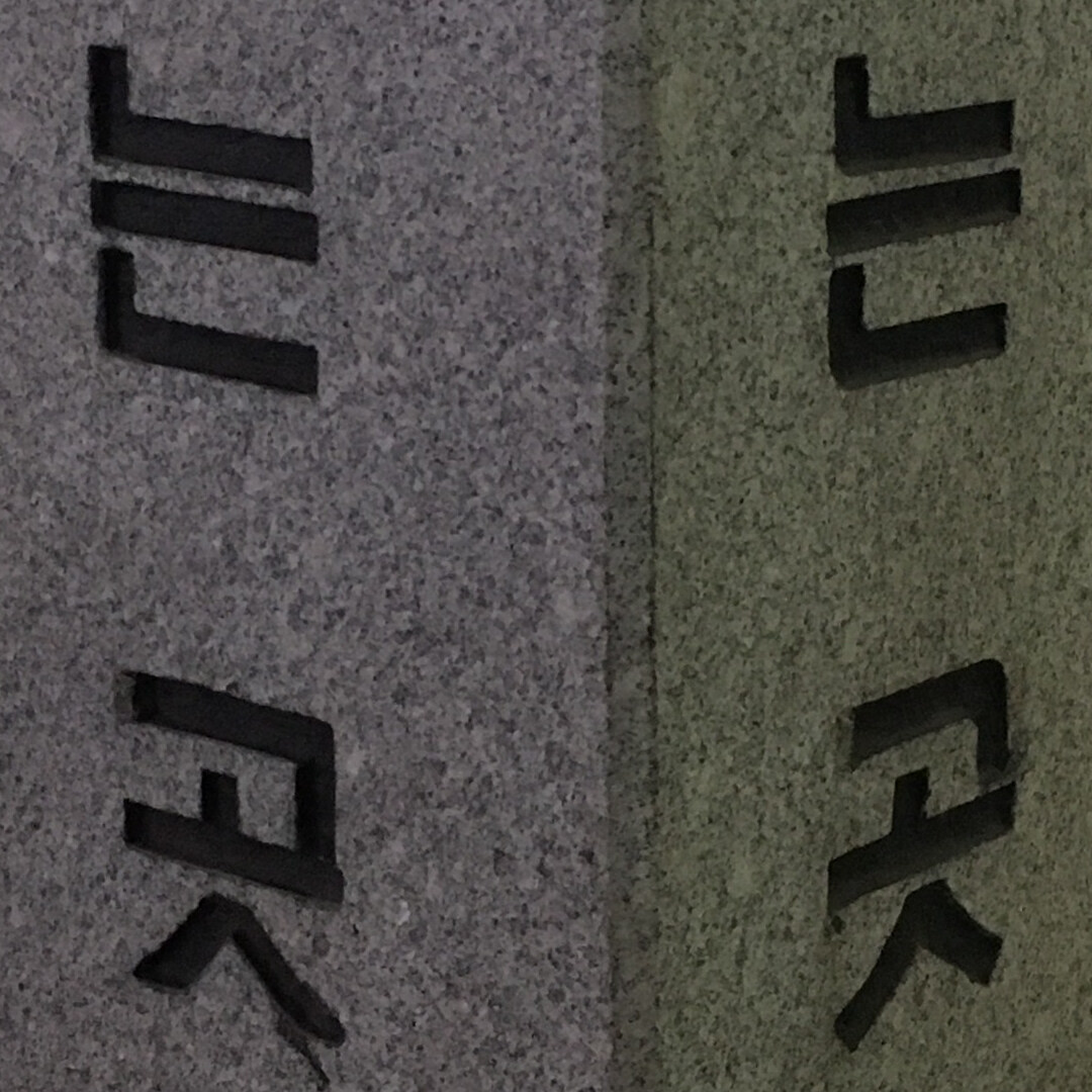 제가 바로 햄님의 서재