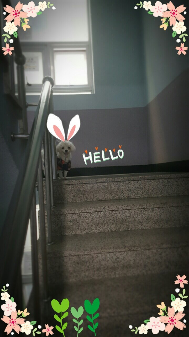 이지이님의 서재
