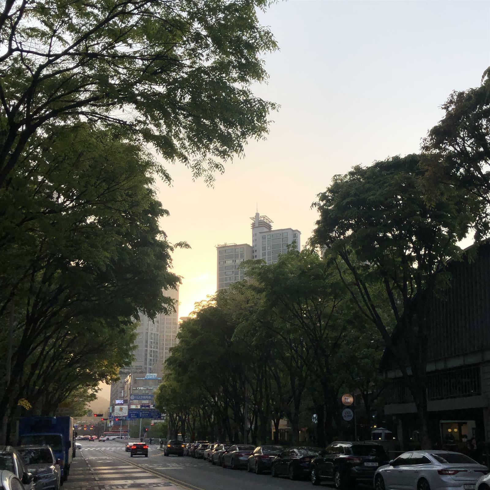 지안님의 서재