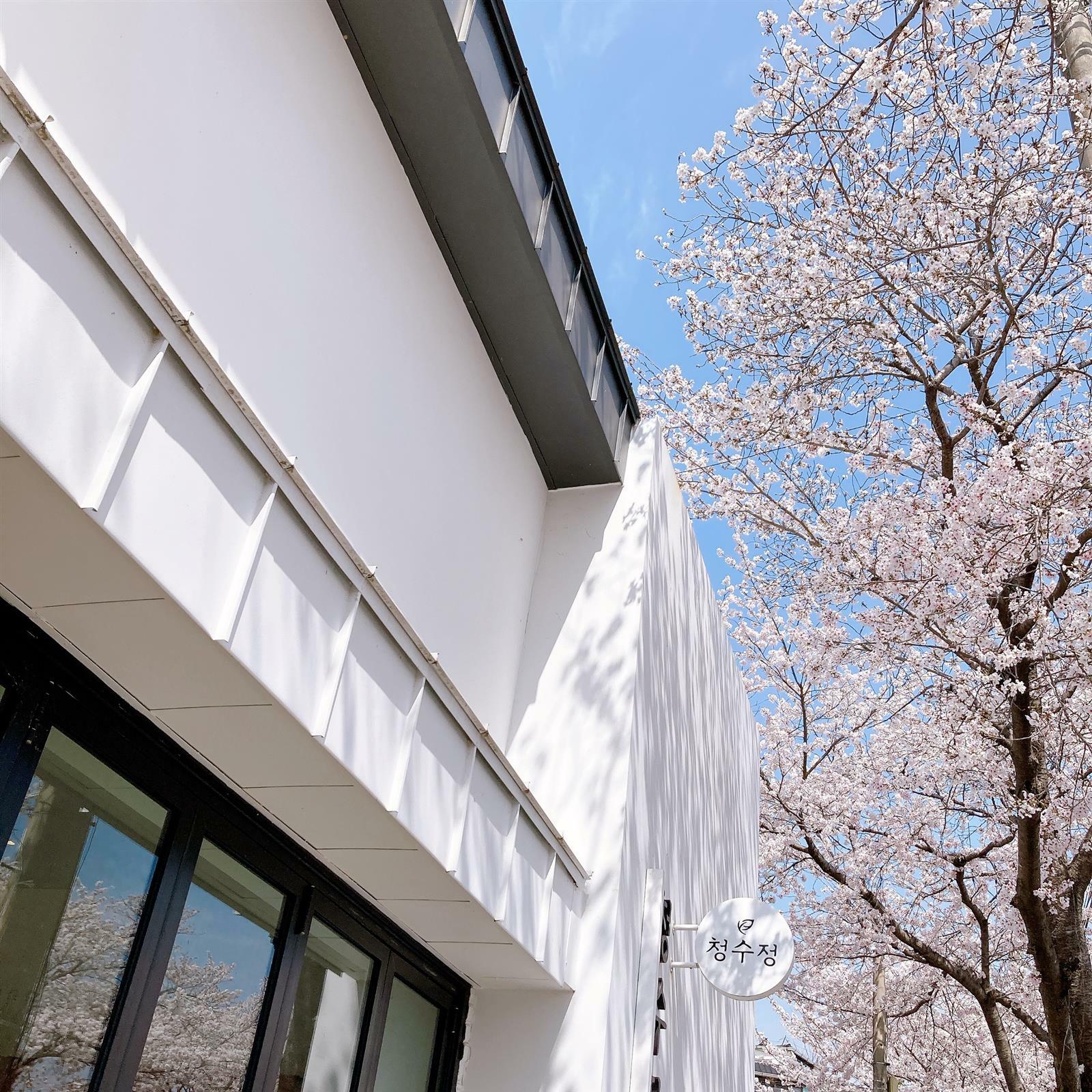 BlueMoon Book store