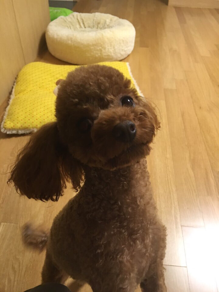 vyejinv님의 서재