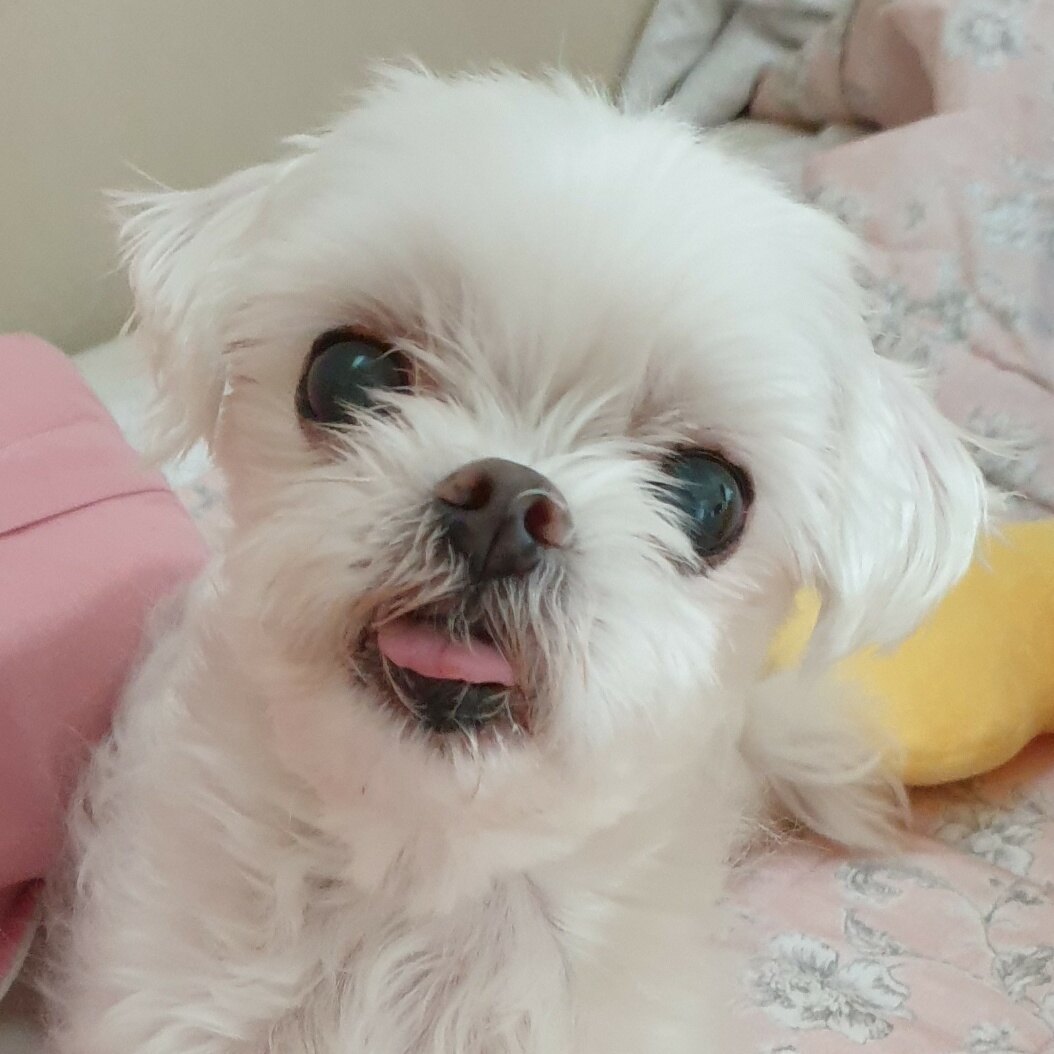 서재