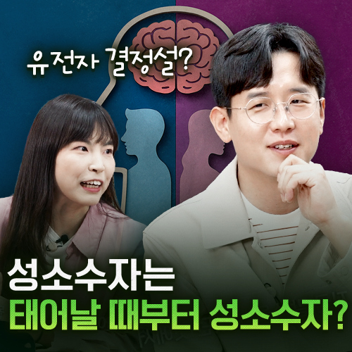 안주현의 지식세포들