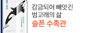 헤더배너