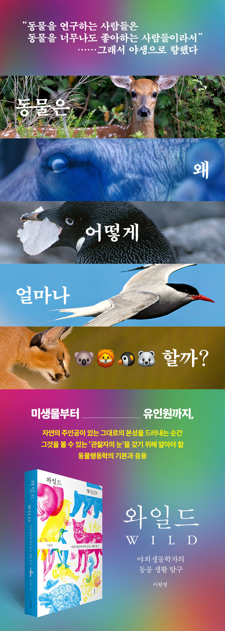 <와일드> 출간 기념 이벤트
