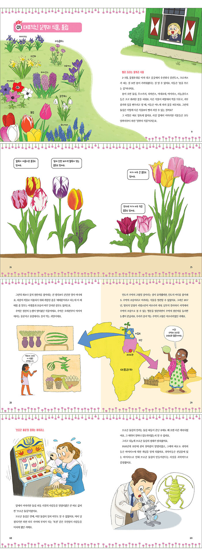 세계를 뒤흔든 꽃, 튤립 이야기 | 풀과바람 과학생각 2 | 김황 | 알라딘