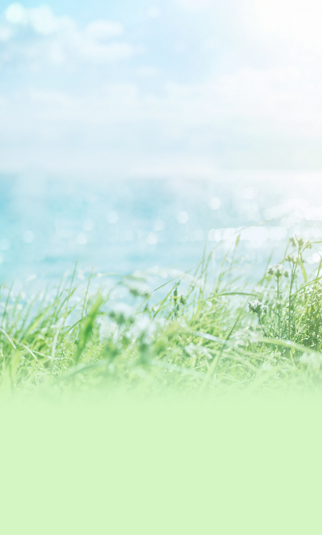 promotion-background