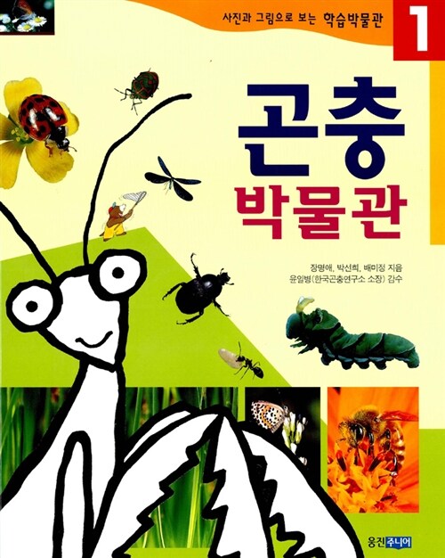 [중고] 곤충 박물관