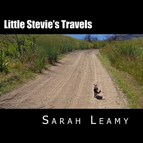 Little Stevies Travels: The Camping Cat (Paperback)