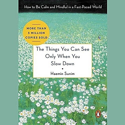 The Things You Can See Only When You Slow Down: How to Be Calm and Mindful in a Fast-Paced World (MP3 CD)