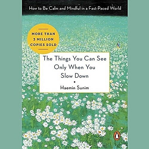 The Things You Can See Only When You Slow Down Lib/E: How to Be Calm and Mindful in a Fast-Paced World (Audio CD)