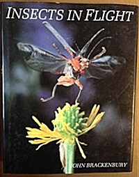 Insects in Flight (Hardcover)