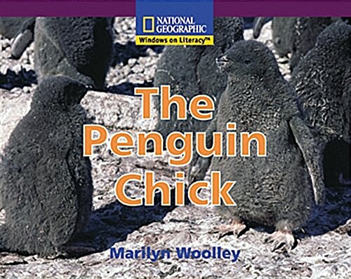 The Penquin Chick (Paperback)