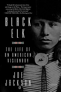 Black Elk: The Life of an American Visionary (Paperback)